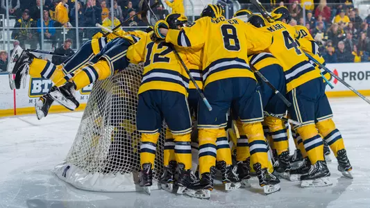 Ice Hockey Team Celebration Generic