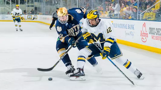 Dakota Raabe (Notre Dame)