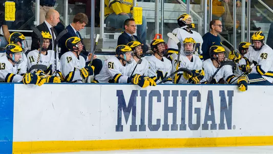 Ice Hockey Bench Generic