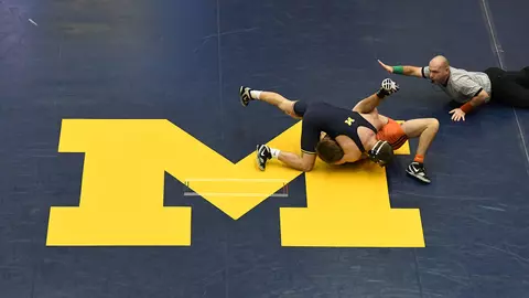 Wrestling Pin Generic