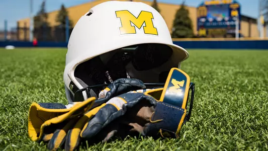 Softball Batting Helmet Generic