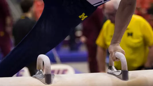 Men's Gymnastics Pommel Horse Generic