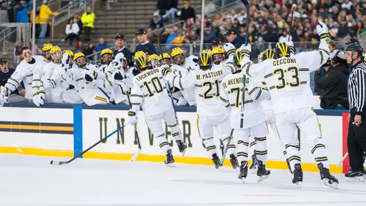 Ice Hockey Goal Celebration