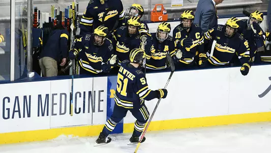 Ice Hockey Team Celebration Generic