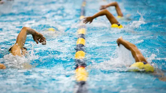 Swimming and Diving Laps Generic