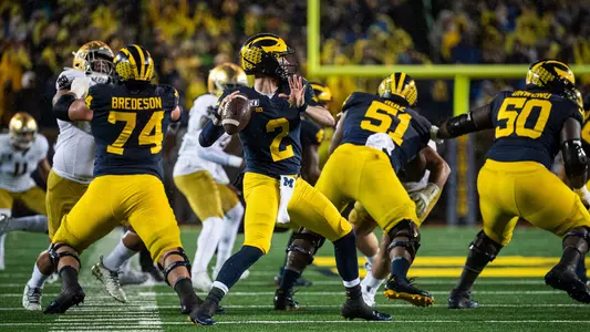 Football Offensive Line Pass Protection
