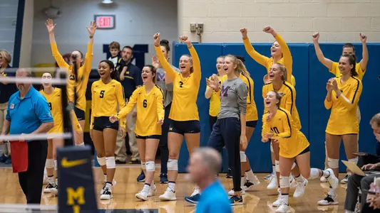 Volleyball Team Celebration Generic