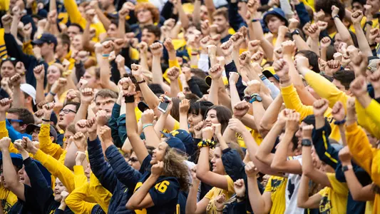 Fans Crowd generic