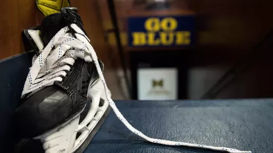 Ice Hockey Skate and Locker Room Door Generic