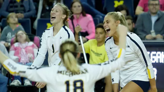Volleyball Celebration