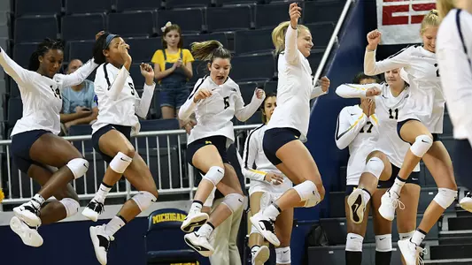 Volleyball Team Celebration Generic