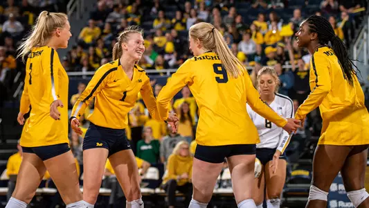 Volleyball Group Celebration Generic