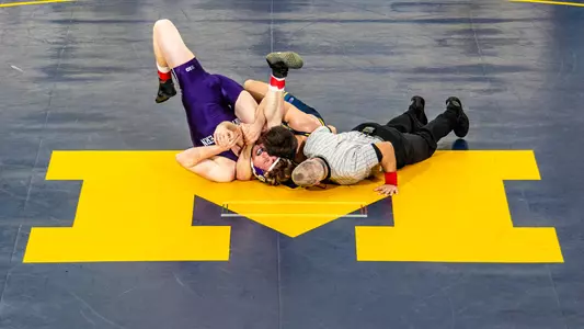 Wrestling Pin Generic