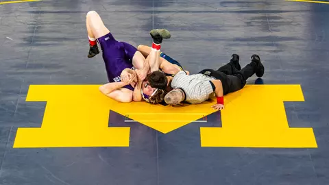 Wrestling Pin Generic