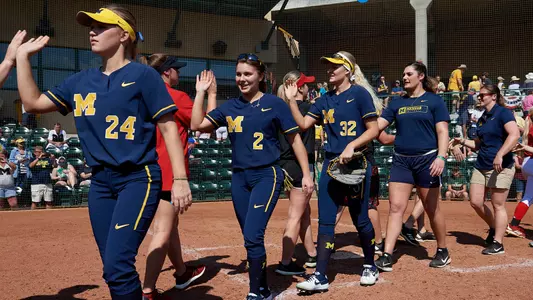 Softball Handshake Line generic