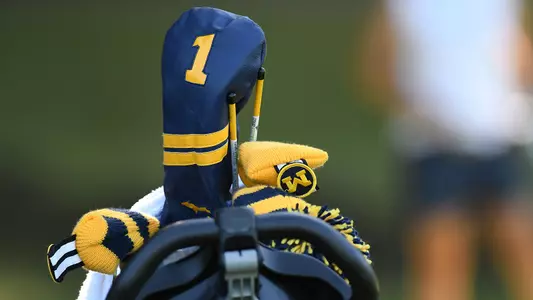 Women's Golf Headcover