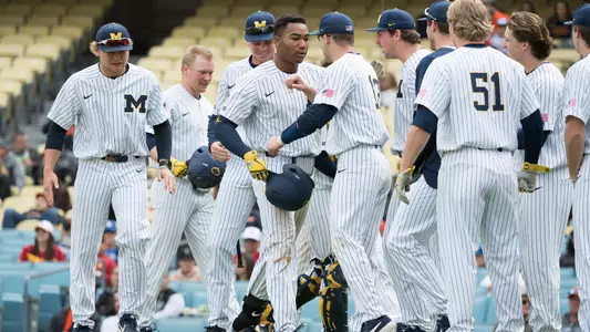 Baseball Team Celebration Generic