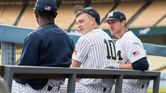 Baseball Sitting on Bench Generic