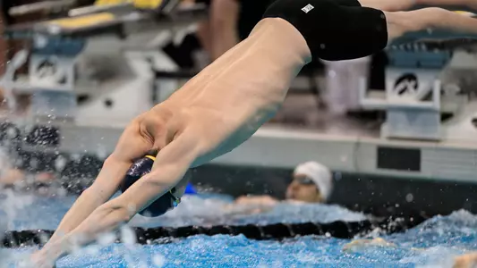 Men's Swimming