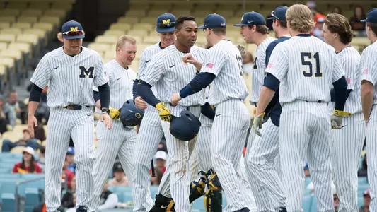 Baseball Team Celebration Generic