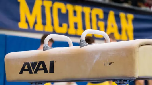 Men's Gymnastics Pommel Horse Generic