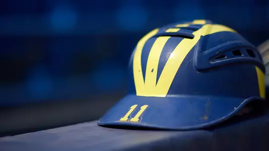 Baseball Batting Helmet Generic