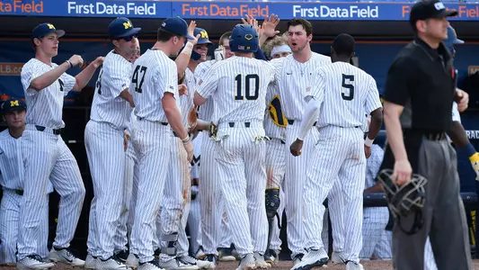 Baseball Team Celebration Generic