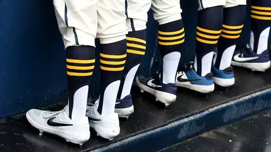 Baseball Shoes Dugout Generic
