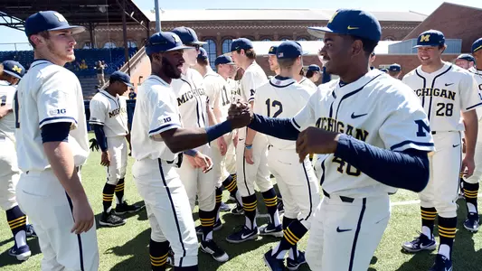 Baseball Team Celebration Generic