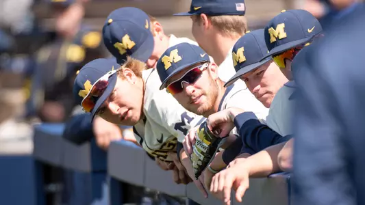 Baseball In the Dugout Generic
