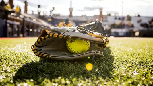 Softball Glove Generic