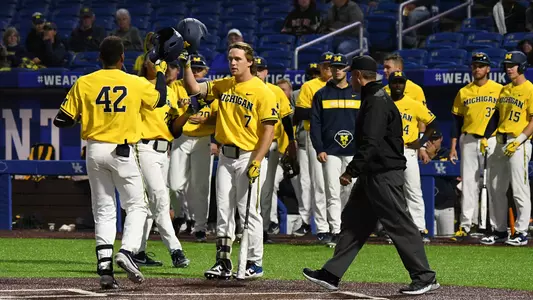 Baseball Home Run Celebration Generic