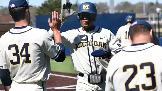 Baseball High Five Generic