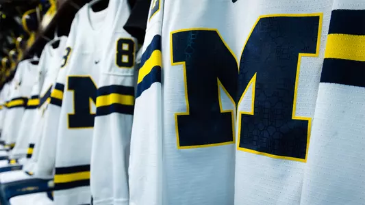 Ice Hockey Hanging Sweaters Jerseys Generic