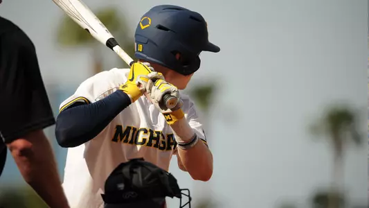 Baseball Batter Generic