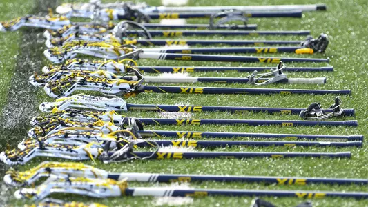 Women's Lacrosse Sticks Generic