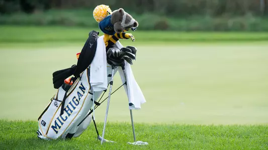 Women's Golf Golf Bag Generic