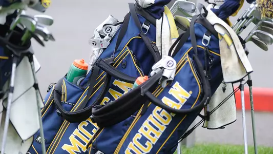 Men's Golf Golf Bag Generic