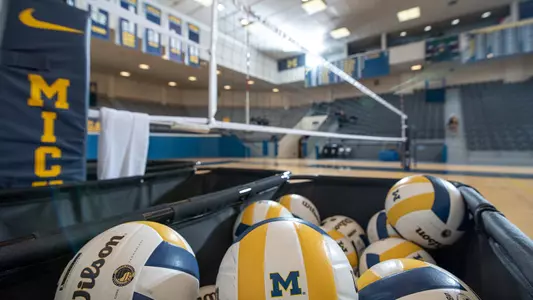 Volleyball Balls and Net Generic