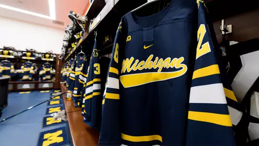 Ice Hockey Hanging Sweaters Generic