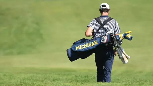 Men's Golf Walking With Bag Generic
