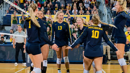 Volleyball Team Celebration Generic