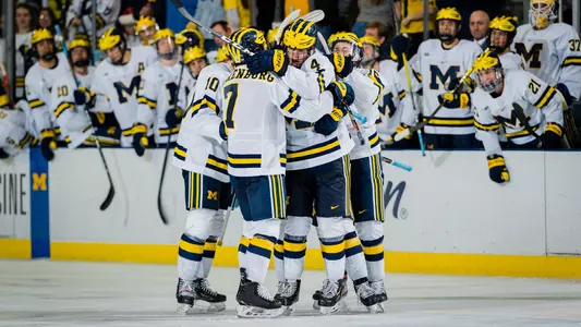 Ice Hockey Team Celebration Generic