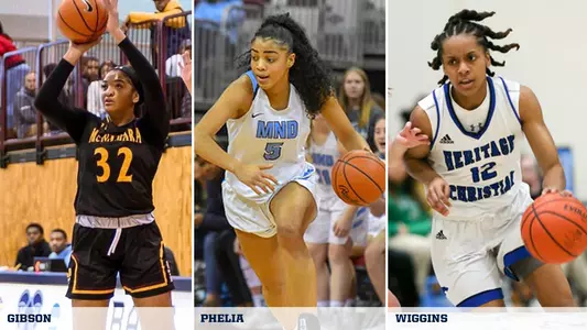 Taylor Gibson, Laila Phelia, Ari Wiggins