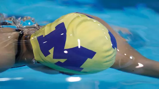 Women's Swimming and Diving In the Water Generic