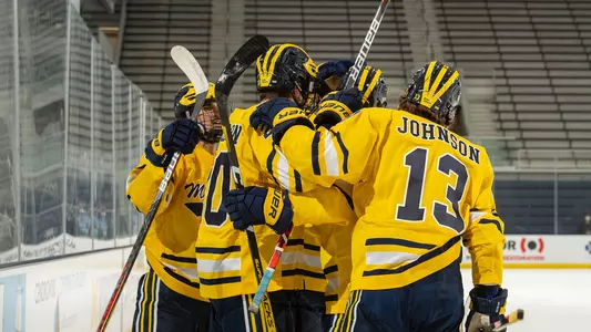 Ice Hockey Goal Celebration Generic