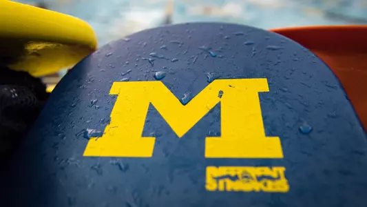 Swimming and Diving Kickboard Generic