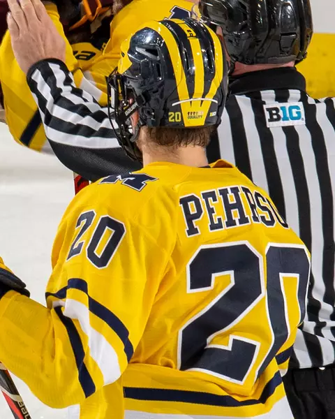 Social Justice: Ice Hockey Helmet Equality Decal