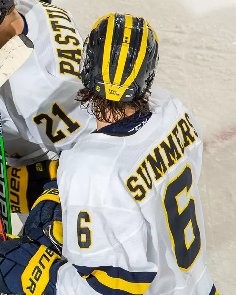 Social Justice: Ice Hockey Helmet Equality Decal