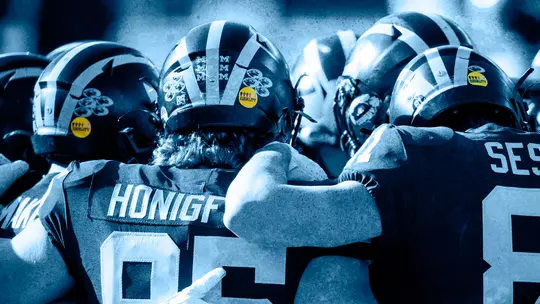 Social Justice: Football Helmet Equality Decal